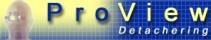 ProView Logo